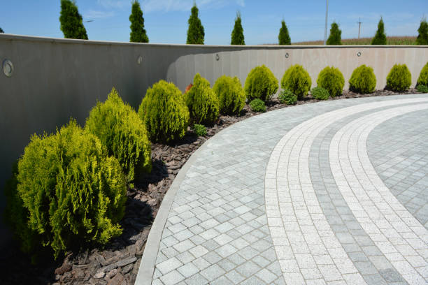 Best Driveway Paver Repair  in Ferrum, VA